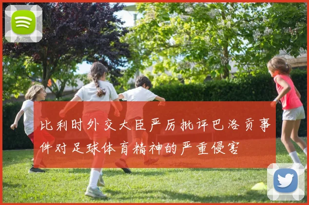 比利时外交大臣严厉批评巴洛贡事件对足球体育精神的严重侵害