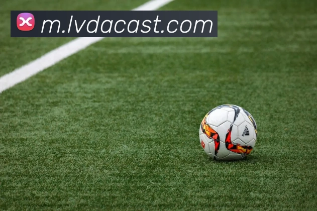 九州官网APP 体育赛事宣传图